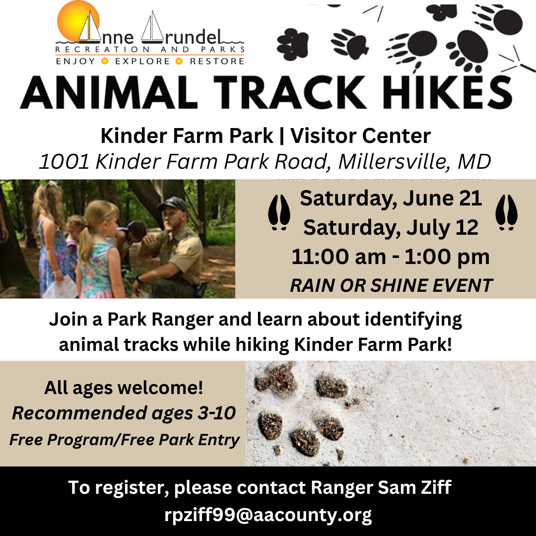 Animal Tracks Event