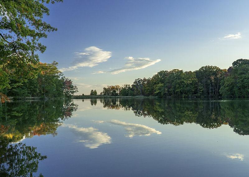 Beverly Triton Nature Park Pond