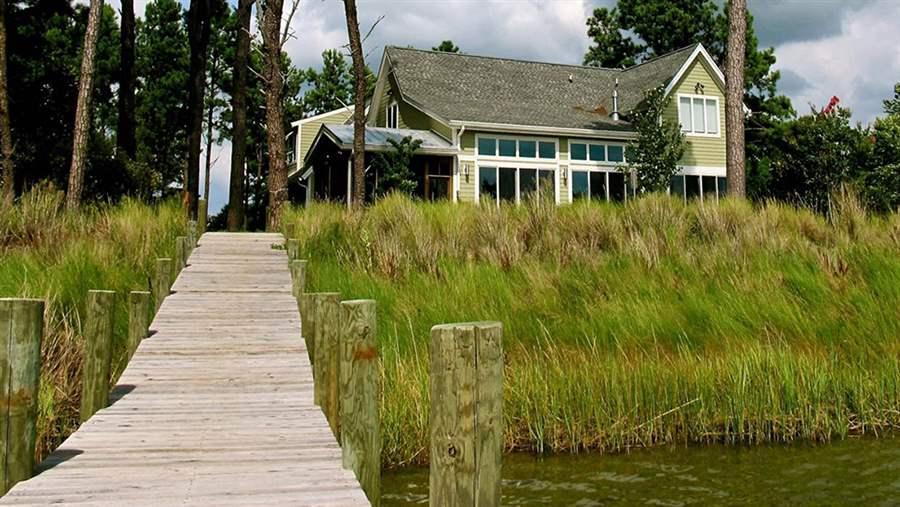 Living Shoreline