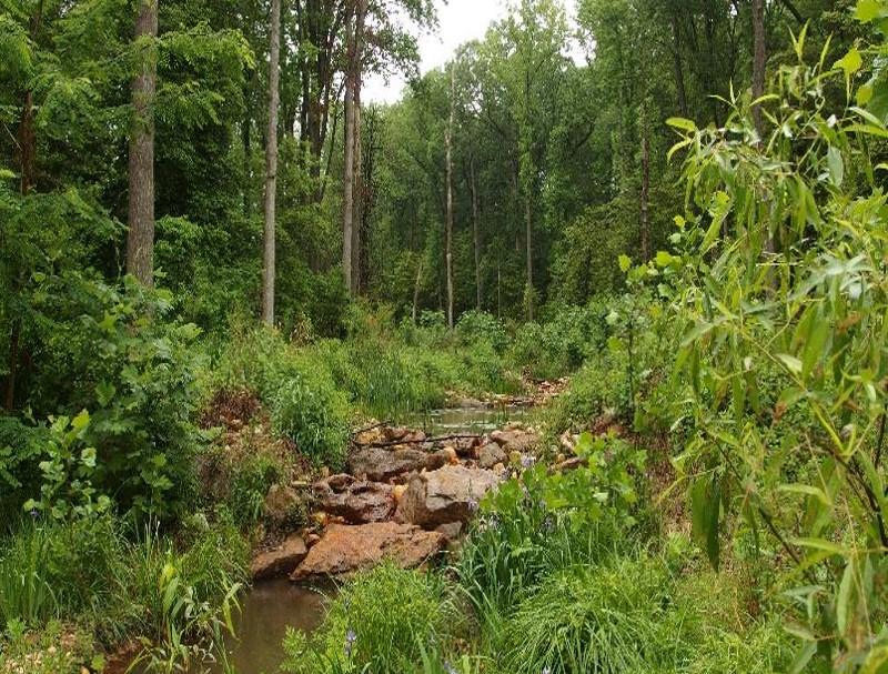 Watershed Restoration Projects | Anne Arundel County Government