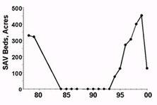 Severn River SAV Chart