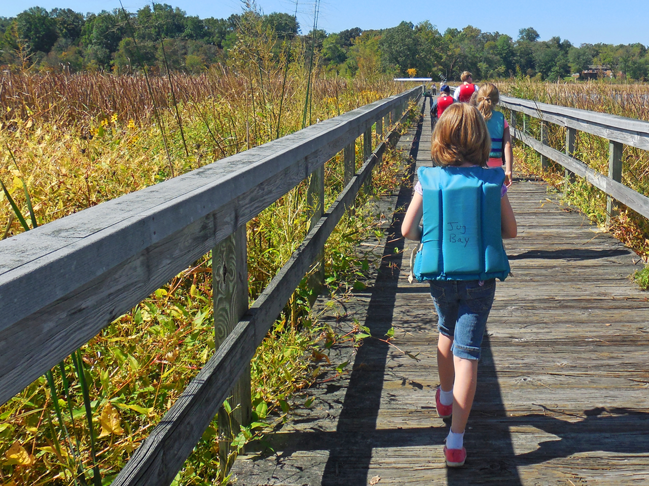 Proposed amendment to code governing woodlands in Chesapeake Bay Critical  Area meets challenges, News