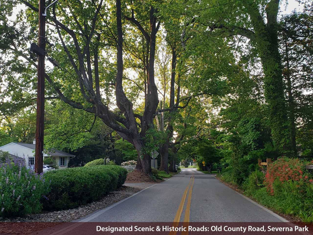 Scenic and Historic Roads