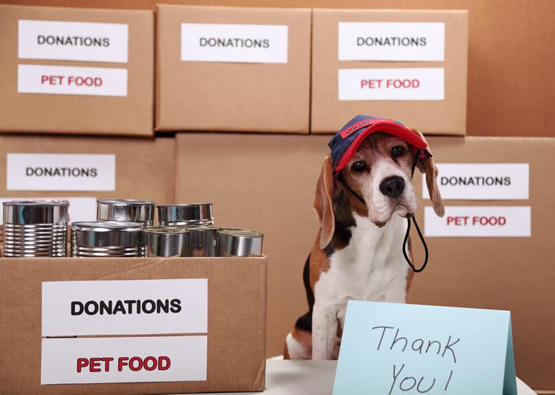 Pet Food Supply Assistance Anne Arundel County Government