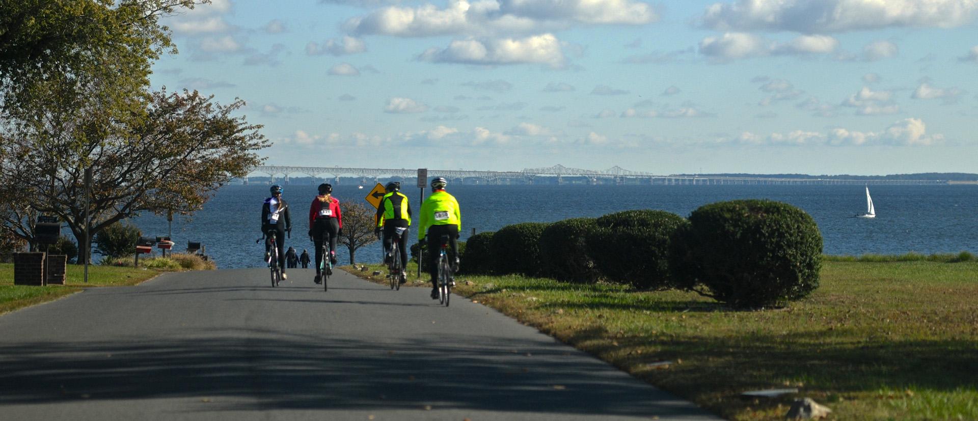 Bike Riders on Bikers at Downs Park