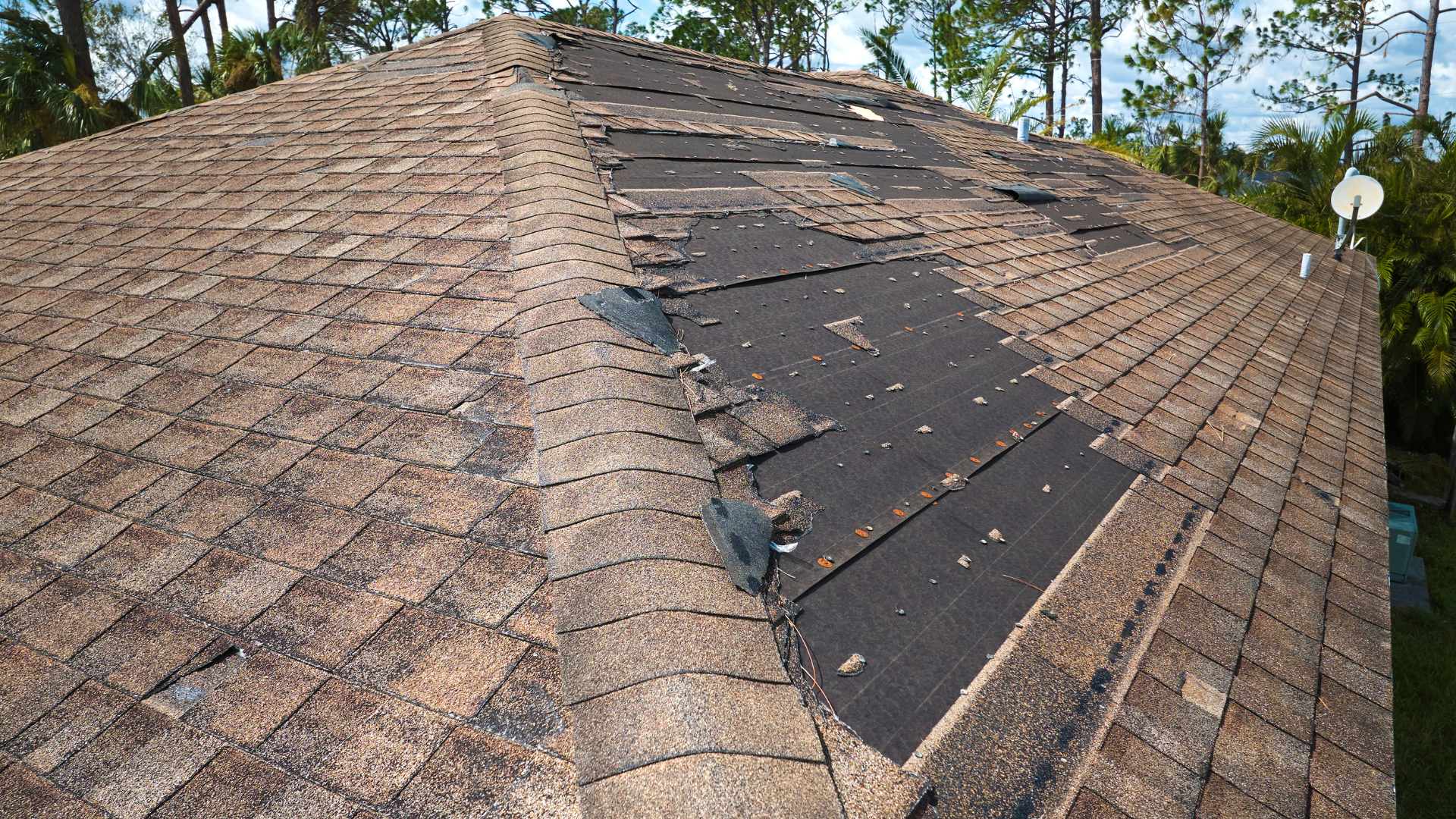 Roof Top with Shingles Missing