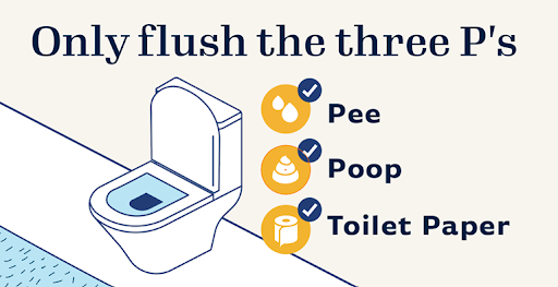 Sanitary Sewer Overflow infographic