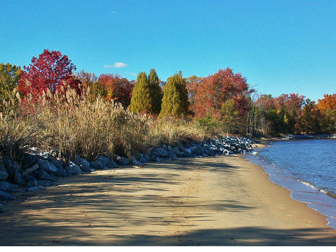 Beach area in Fall