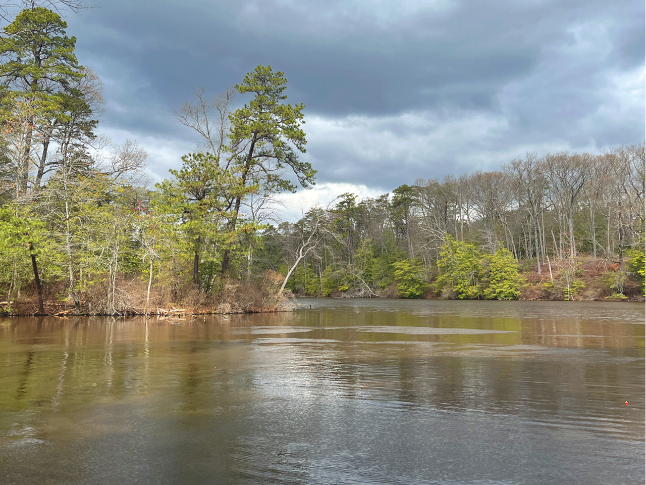 Lake and trees