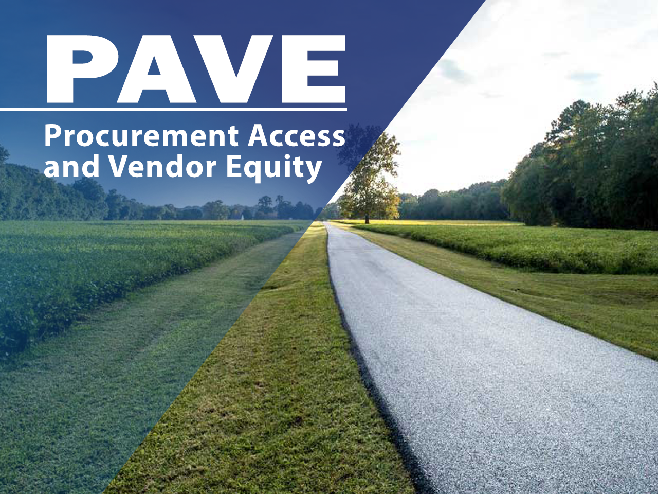 Procurement Access and Vendor Equity (PAVE)