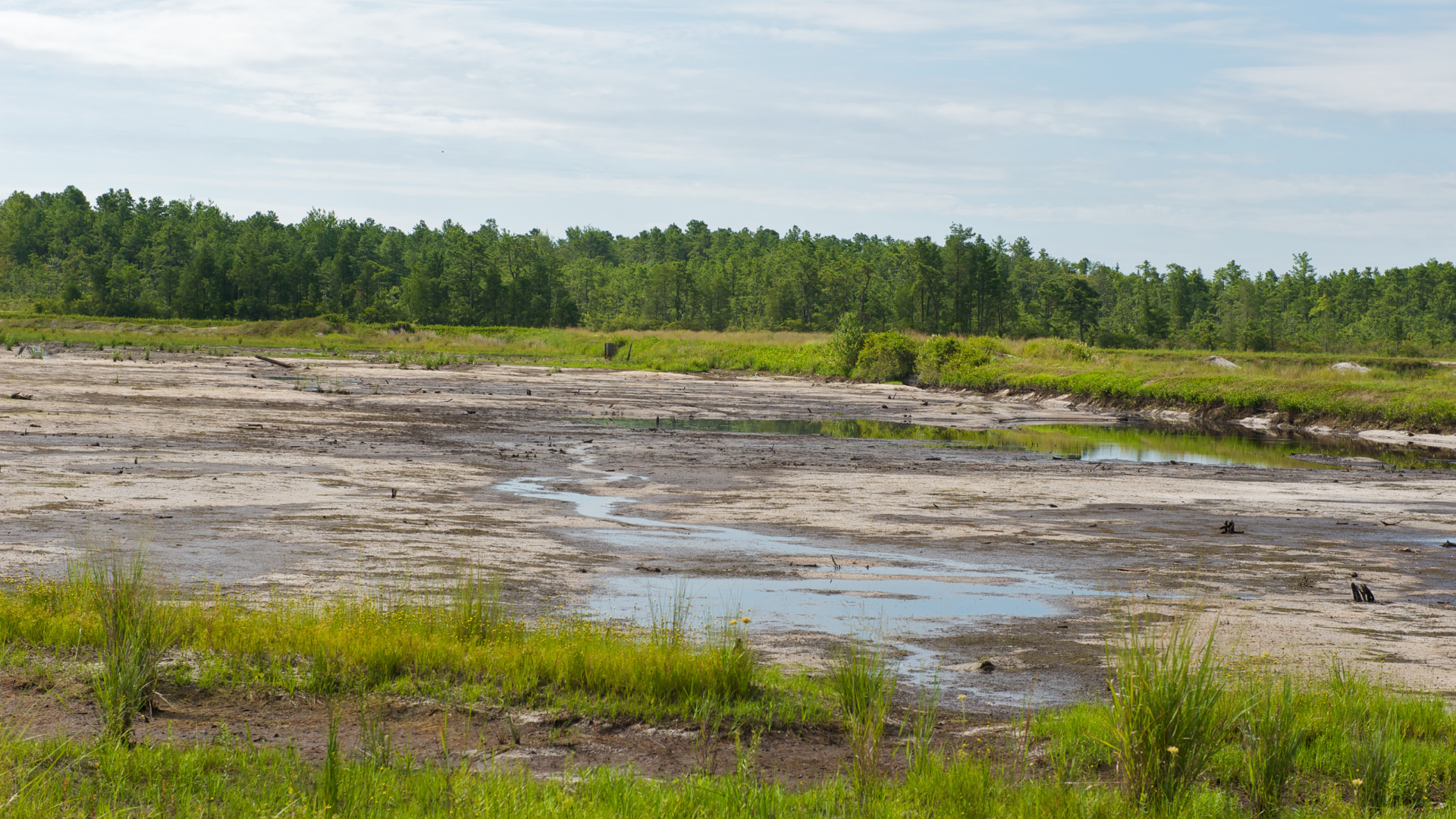 Water drying from drought