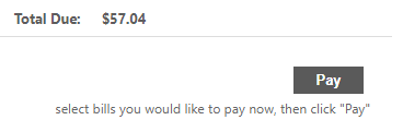 Screenshot of a Utility bill with the total due and a gray button that says "Pay."