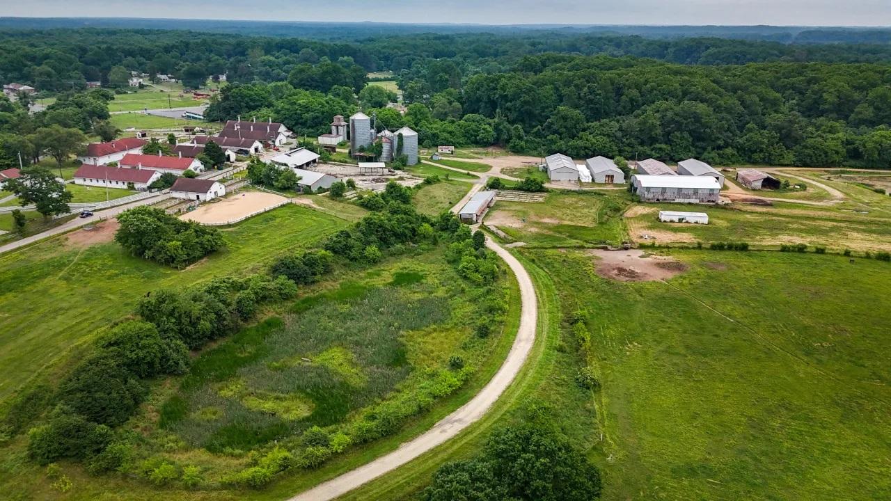 Dairy Farm