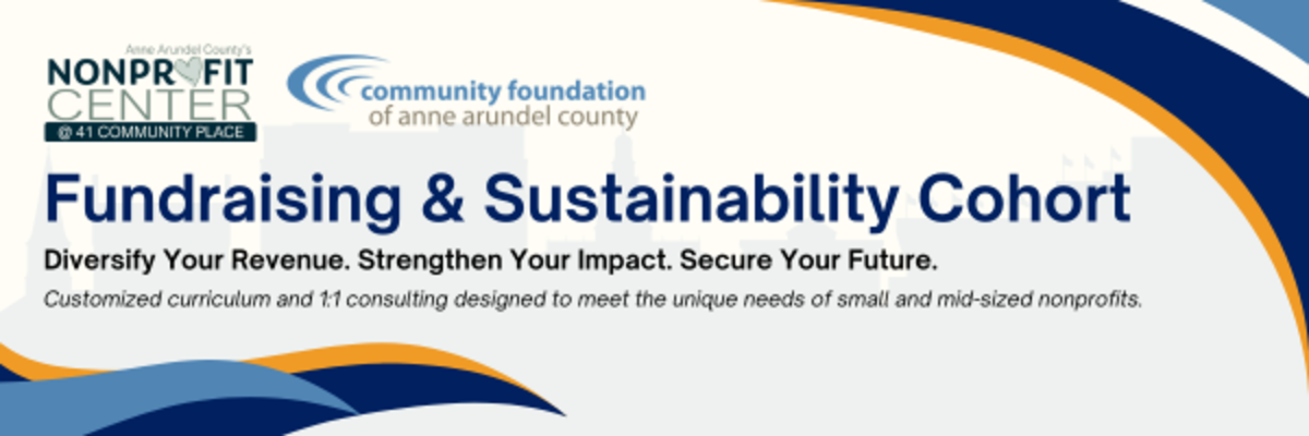 Fundraising and Sustainability Cohort Banner