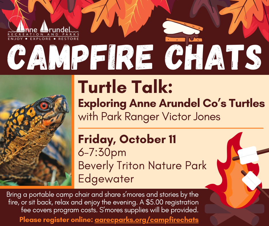 Camp Fire Chat - Friday, October 11th