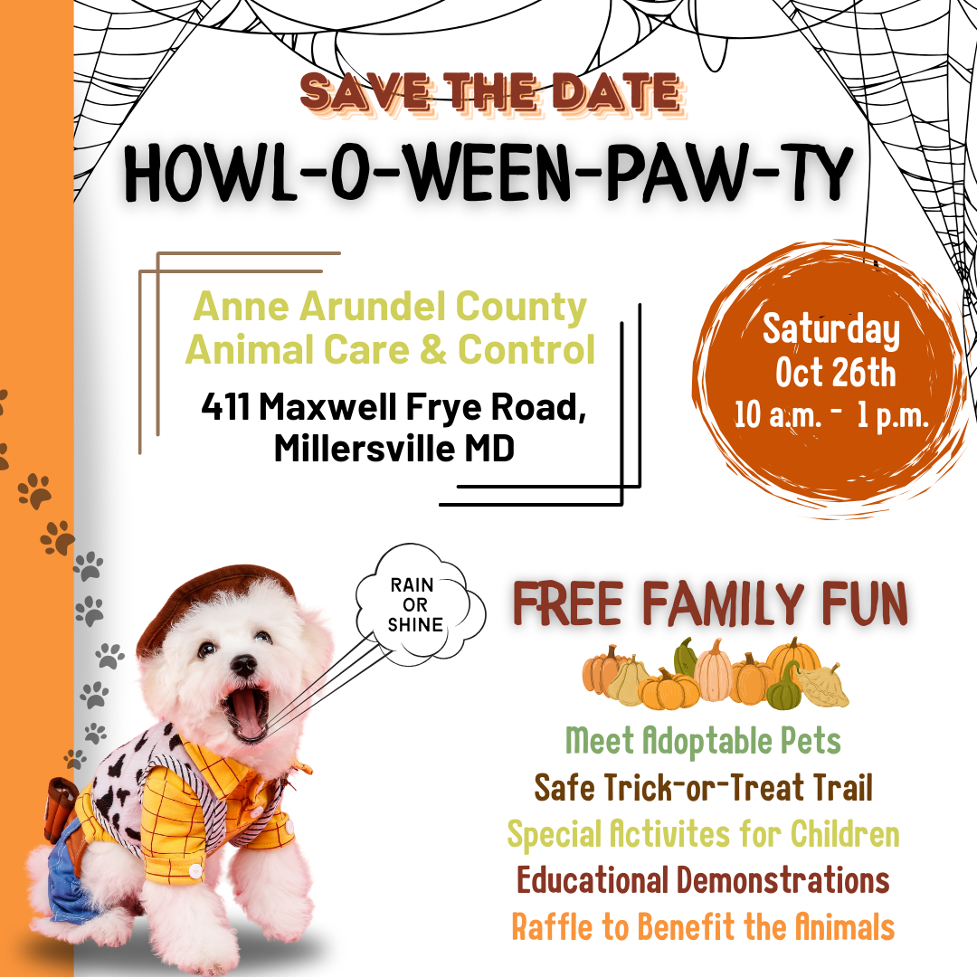 Flyer for howloweenpawty event