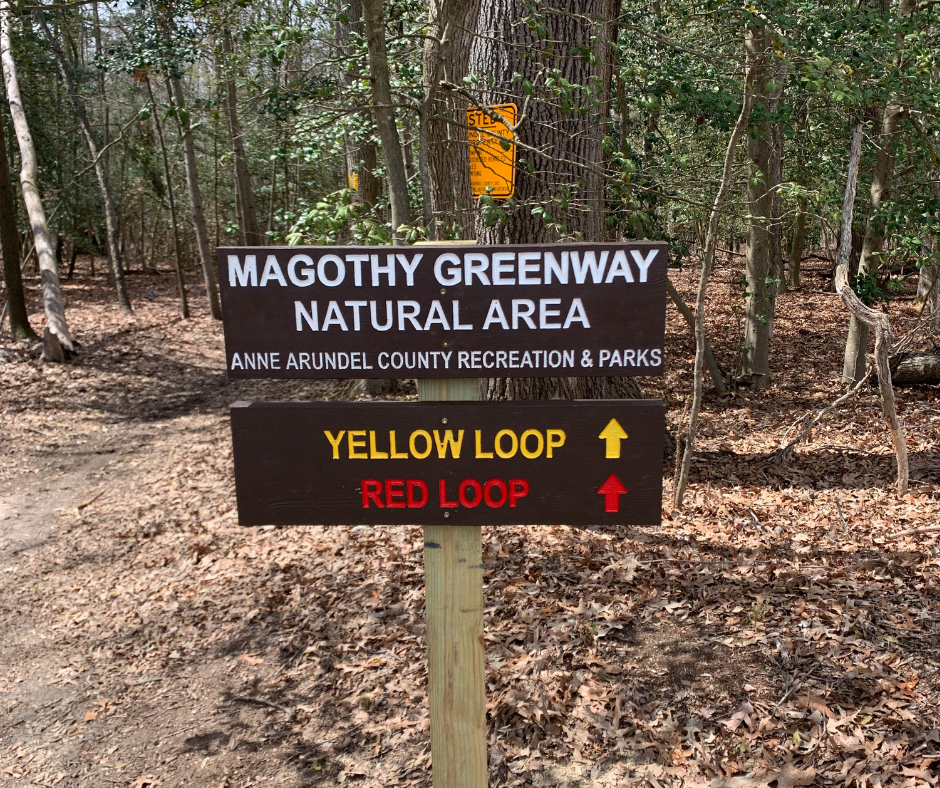 Magothy Greenway Natural Area