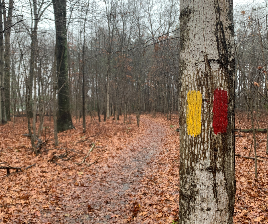 Magothy Greenway Natural Area