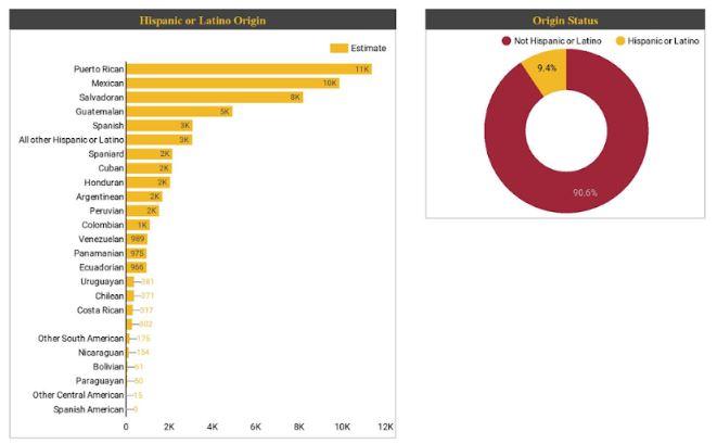 Hispanic or Latino Orgin Chart